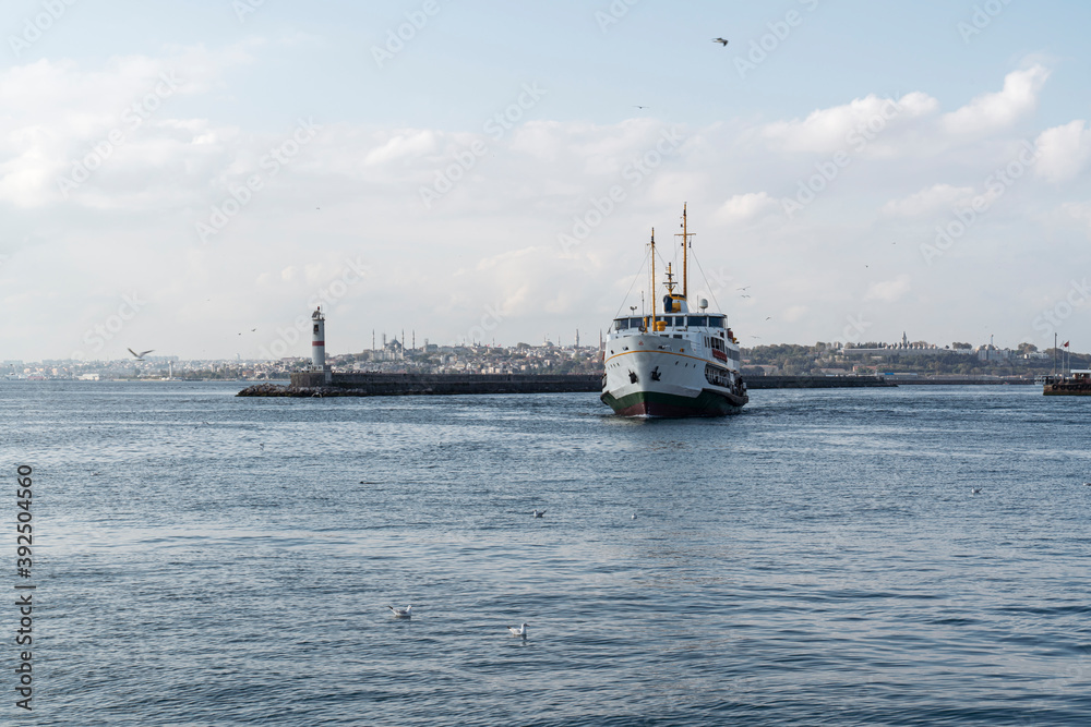 View of Istanbul and ferry View of Istanbul and ferry