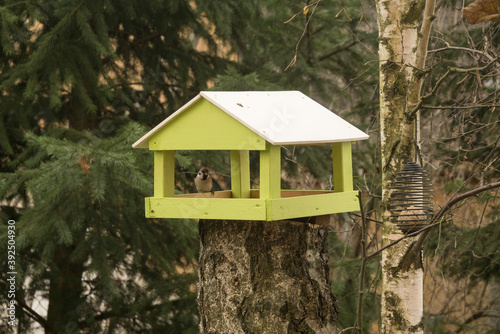 wooden bird house © Baca