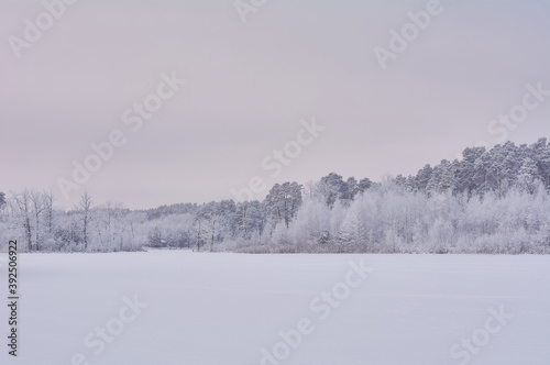 winter landscape © thevisionarygarden