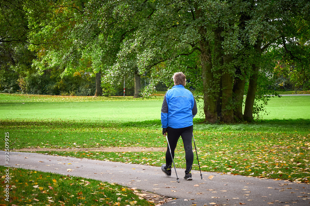 Fototapeta premium Unidentified Man walking in a park using trekking poles. Autumn season, fall 