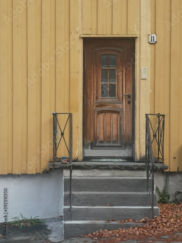 Beautiful door in Baklandet