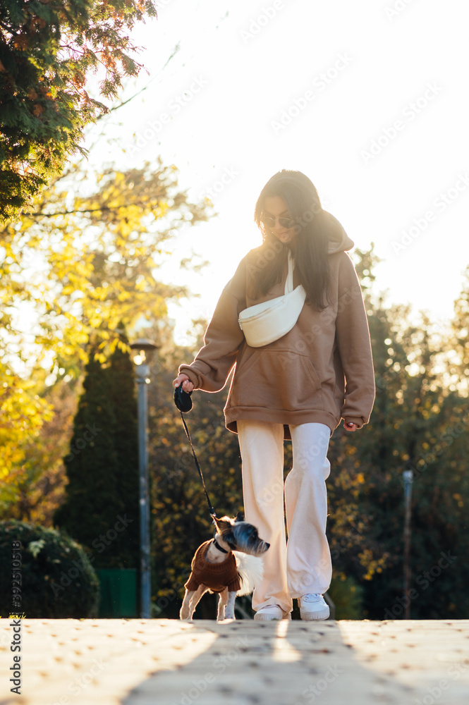 Fototapeta premium Attractive lady stands in a beautiful park at sunset with a small dog in her arms and hugs her pet and smiles.
