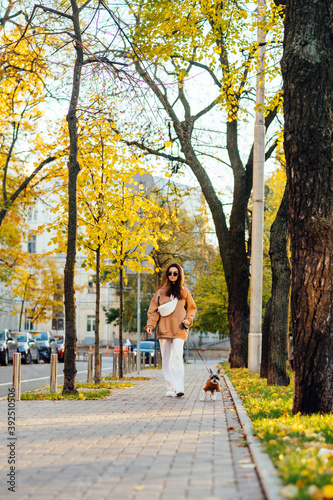Woman walks with a dog in the autumn city. Lady walks pet on a leash on an autumn street with trees of yellow leaves. Vertical