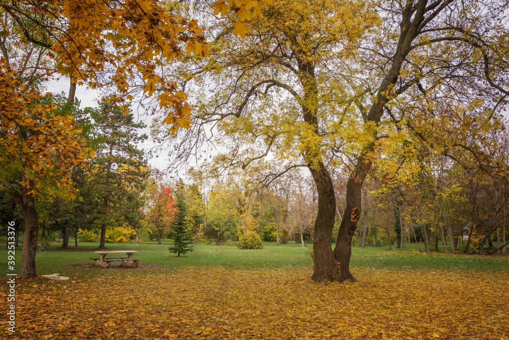 Beautiful, sunny autumn in the park Beautiful, sunny autumn in the park
