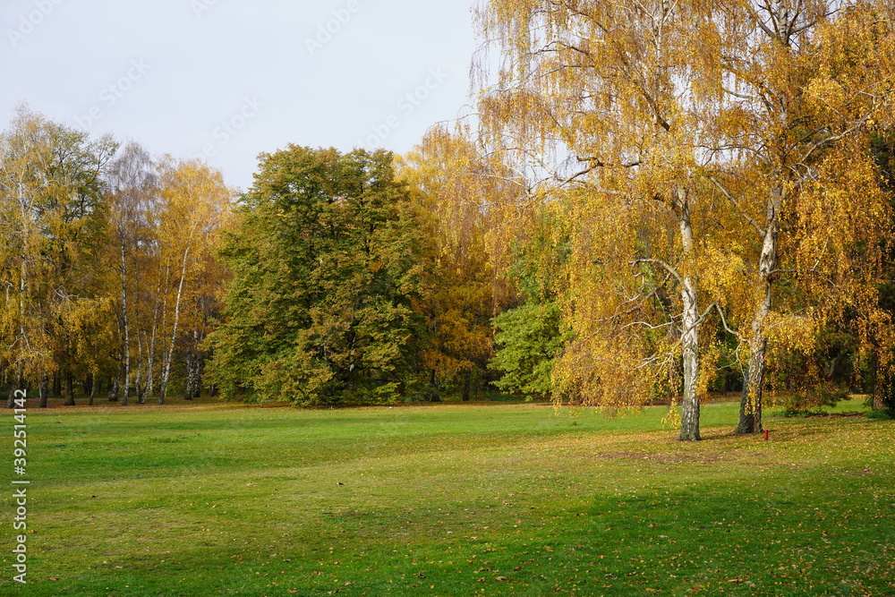 Der Große Tiergarten in Berlin im Herbst bei Sonnenschein Der Große Tiergarten in Berlin im Herbst bei Sonnenschein
