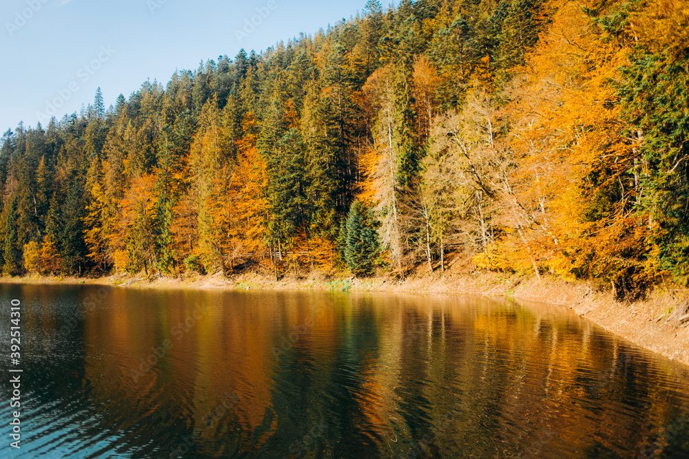Fototapeta premium Beautiful autumn landscape. Reflection of colored trees in the lake