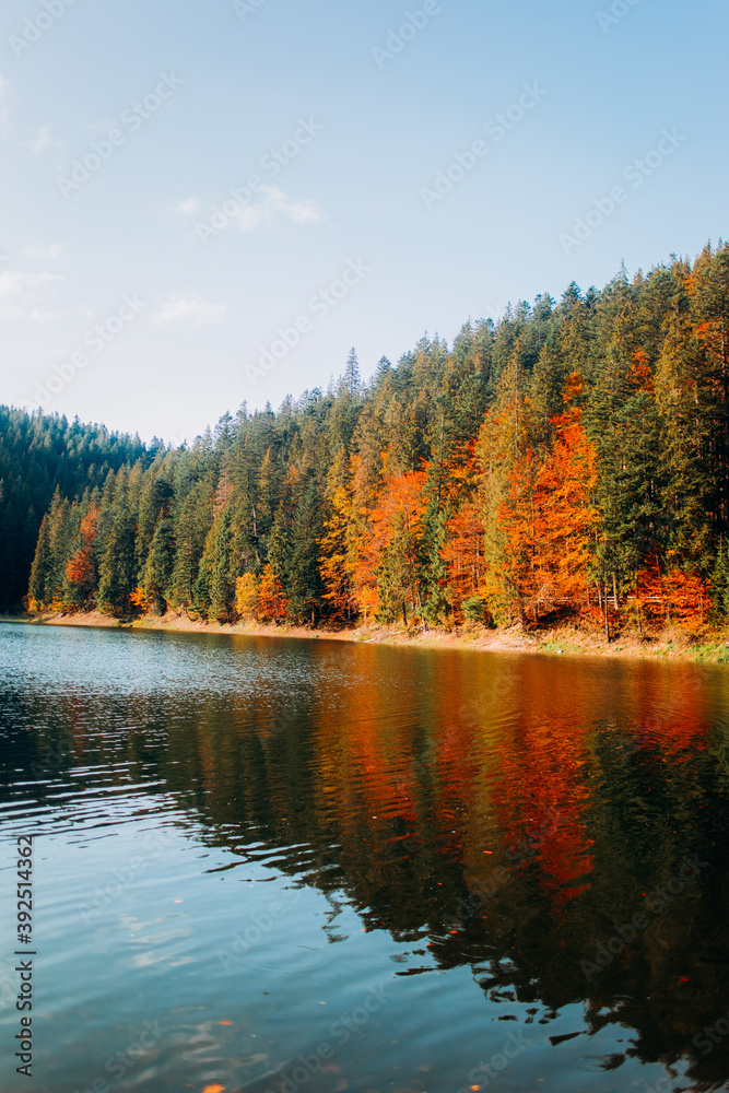 Obraz premium Beautiful autumn landscape. Reflection of colored trees in the lake