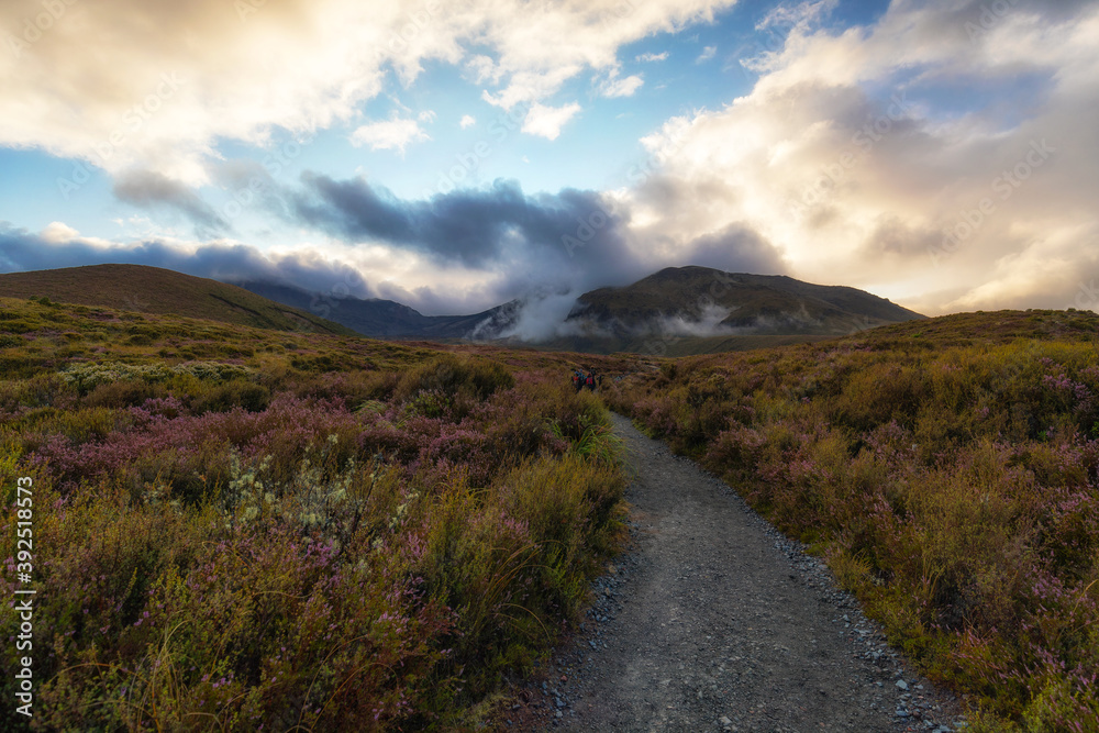 Tongariro Alpine Crossing, Tongariro Nation Park, New Zealand