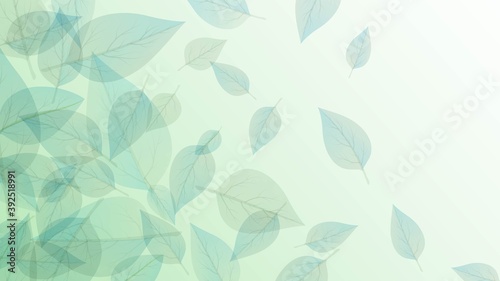 Light green background with transparent veined leaves