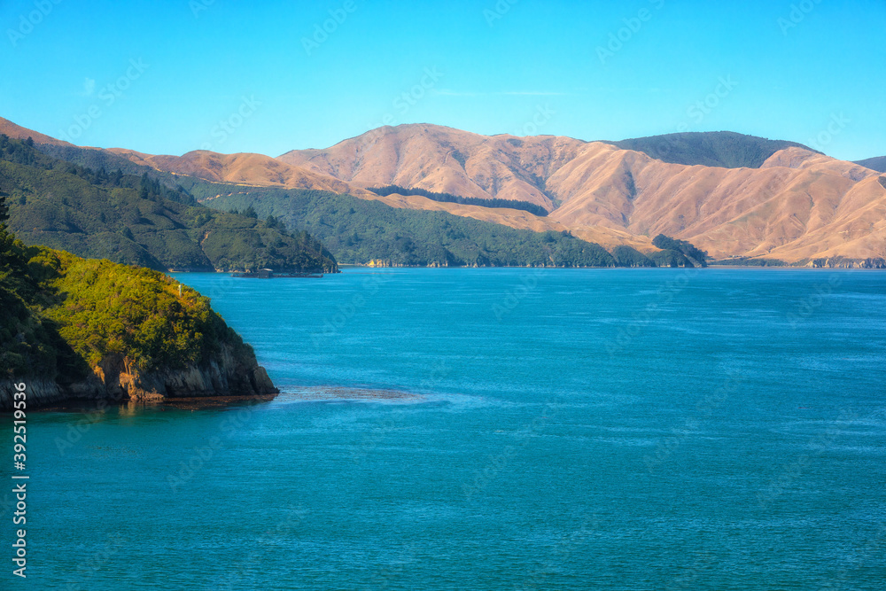 Obraz premium Marlborough Sounds, New Zealand