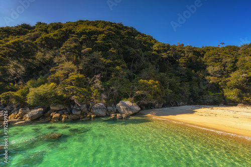 Bilde på lerret Abel Tasman National Park, Tasman District, New Zealand