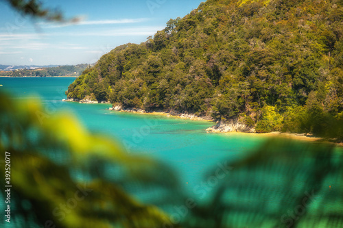 Foto Abel Tasman National Park, Tasman District, New Zealand
