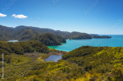 Abel Tasman National Park, Tasman District, New Zealand © Michael