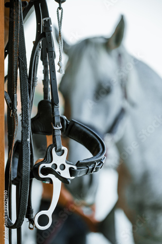 Hors riding equipment, saddle and stirrup. White horse