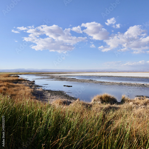 Salt lake in Atacama desert with white salt crust and blue water  Chile