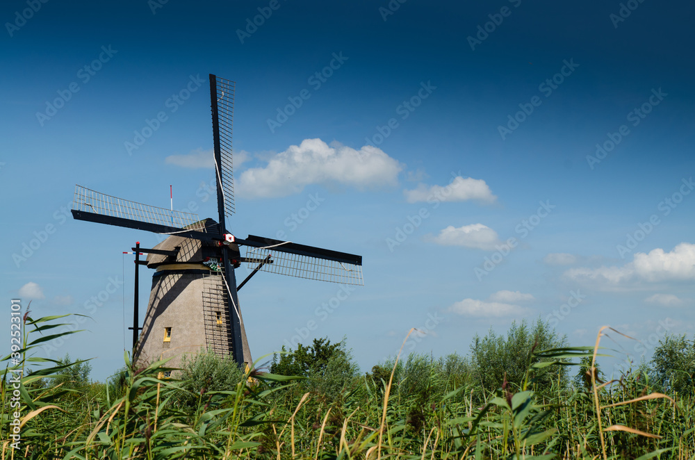 Kinderdijk, The Netherlands, August 2019. On a beautiful summer day a historic windmill, in perfect condition, in the Dutch countryside furrowed by canals lined with tall green grasses. Kinderdijk, The Netherlands, August 2019. On a beautiful summer day a historic windmill, in perfect condition, in the Dutch countryside furrowed by canals lined with tall green grasses.