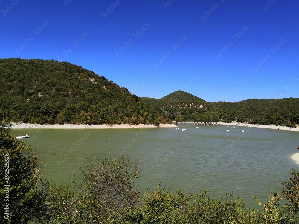 Fototapeta premium The sea behind the trees