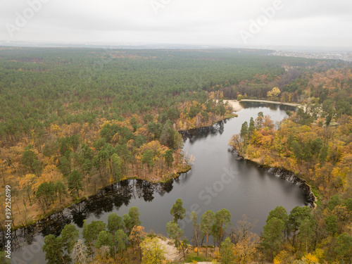 Aerial drone view. Small river in the mixed autumn forest. Foliage.