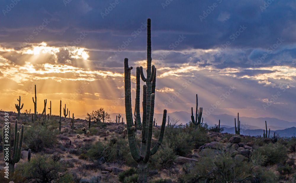 Brilliant Sunbeams In The Arizona Desert 