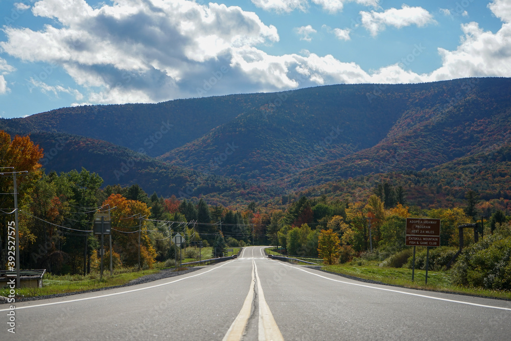 Fototapeta premium road to the mountains
