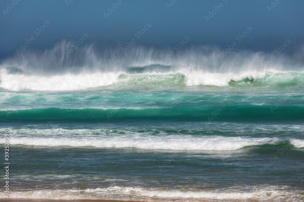 Sandfly Bay, Otago Peninsula, New Zealand