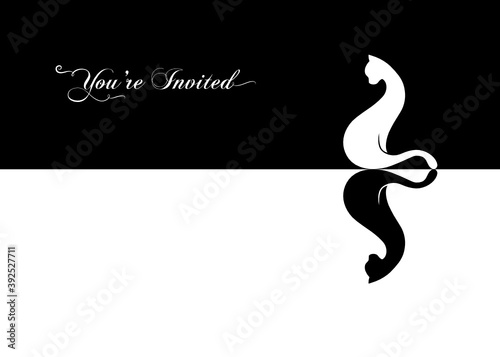 black and white cat, background