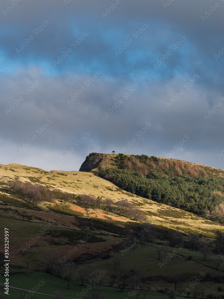 Back Tor Scots Pine picked out in the sunlight between the clouds Back Tor Scots Pine picked out in the sunlight between the clouds