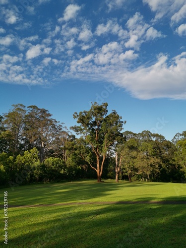 Beautiful view of a park with green grass and tall trees and deep blue sky with light clouds in the background  Heritage park  Castle Hill  Sydney  New South Wales  Australia 