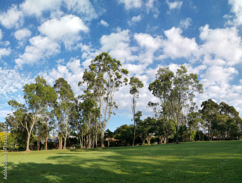 Beautiful view of a park with green grass and tall trees and deep blue sky with light clouds in the background, Heritage park, Castle Hill, Sydney, New South Wales, Australia
