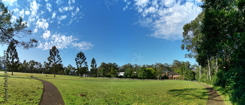 Canvas Print Beautiful panoramic view of a park with green grass and tall trees and deep blue