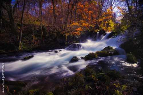 Mountain stream torrent Autumn leaves fall colors