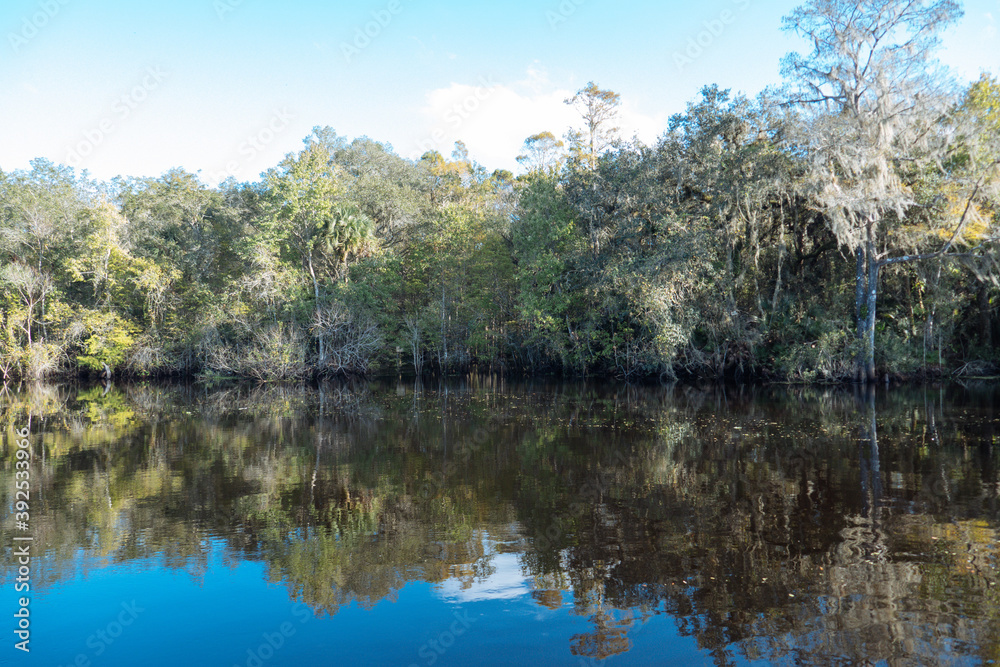 Fototapeta premium The landscape of Tampa Palms and Hillsborough river in Florida