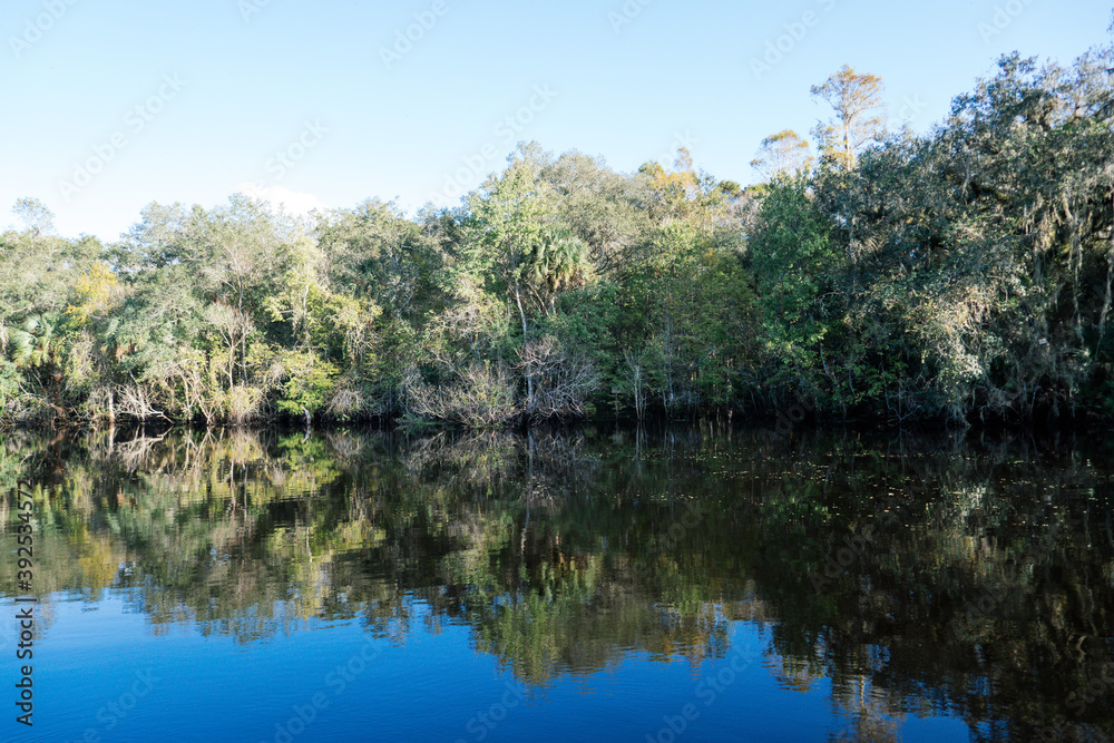 The landscape of New Tampa and Hillsborough river in Florida The landscape of New Tampa and Hillsborough river in Florida