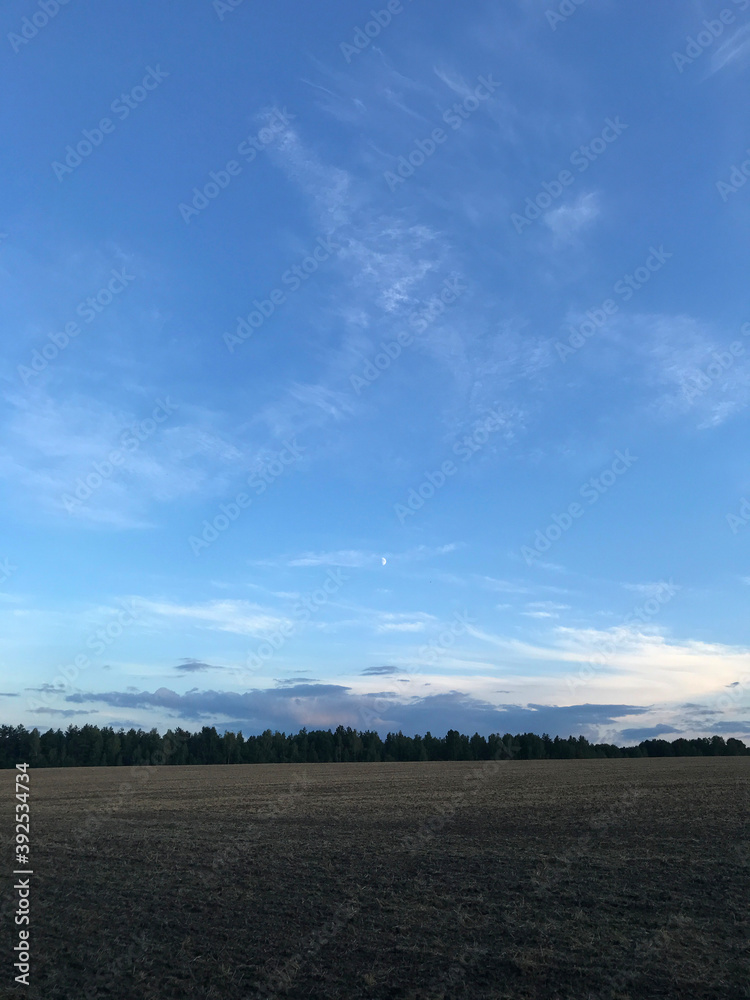 Empty field with horizon brown earth and blue sky