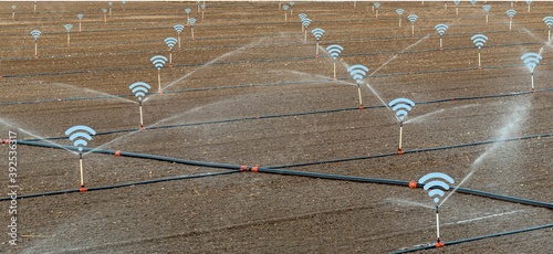 With wifi controlled smart irrigation system. Smart farming argriculture concept. a newly sown field