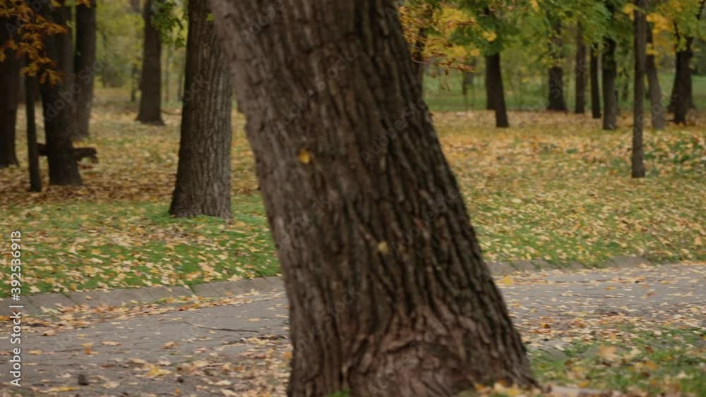 Man jogging in the autumn park