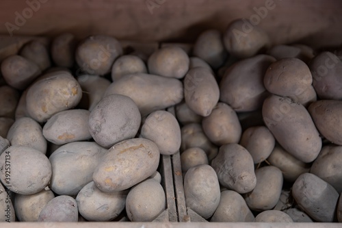 Raw potatoes in a wooden box.