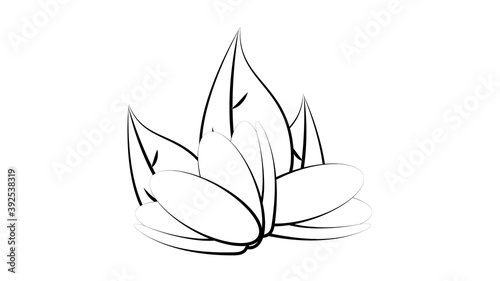 Group of pistachio nuts, shelled and unshelled, sketch vector illustration
