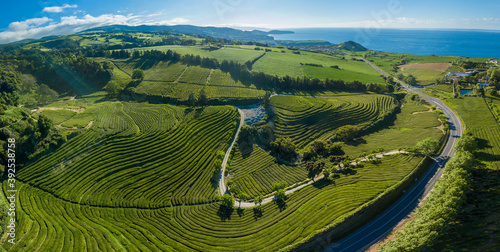 Quadro em tela Panoramic view over the luxurious green landscape and the Tea Plantation of Gorreana (Chá Gorreana) in the North Coast of the island of São Miguel in the Azores