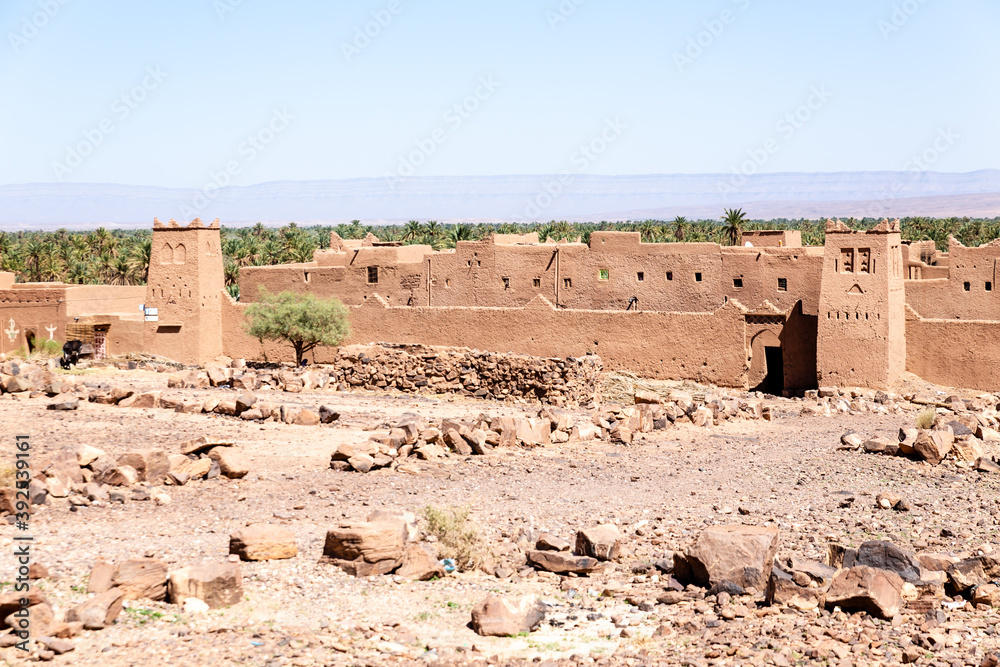 Agdz, Morocco, oase, palm tree, oase,