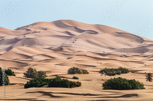 Canvas Print Morocco, desert, dunes, sand
