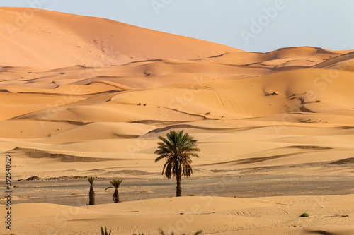 Morocco, desert, dunes, sand