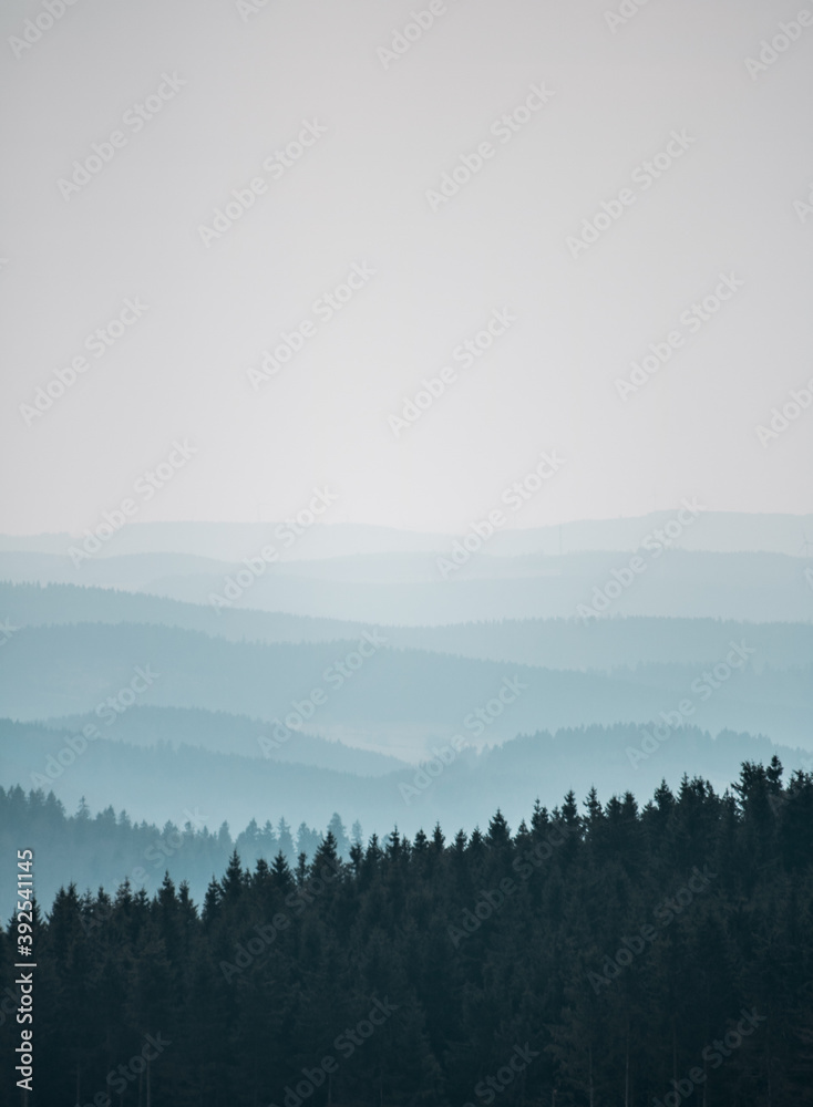 Fototapeta premium mist in the mountains, view over a mountain with tree silhouette 