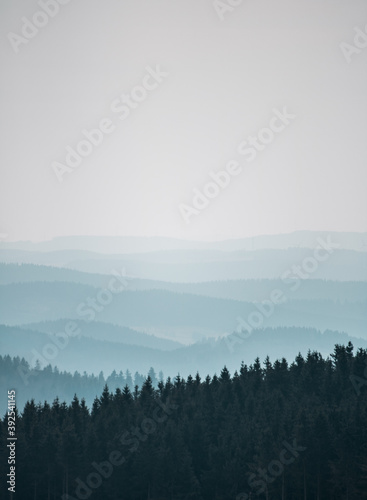 mist in the mountains, view over a mountain with tree silhouette 