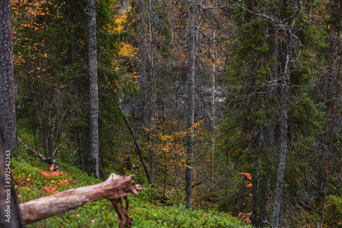 Autumn view of Oulanka National Park, landscape, a finnish national park in the Northern Ostrobothnia and Lapland regions of Finland,  wooden wilderness hut, cabin cottage, bridge, campground place photo