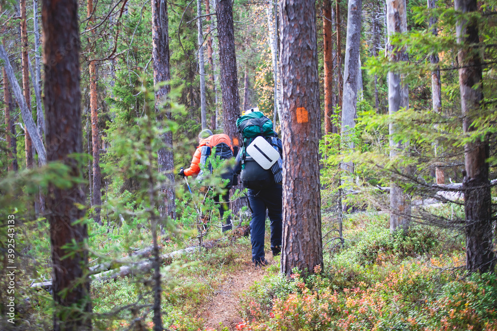 Autumn view of Oulanka National Park, landscape, a finnish national park in the Northern Ostrobothnia and Lapland regions of Finland, wooden wilderness hut, cabin cottage, bridge, campground place Autumn view of Oulanka National Park, landscape, a finnish national park in the Northern Ostrobothnia and Lapland regions of Finland, wooden wilderness hut, cabin cottage, bridge, campground place