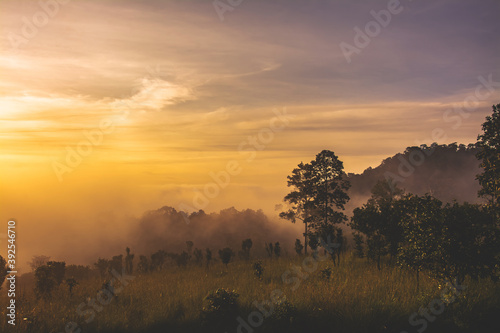 Landscape of Grassland and trees in Thung Salaeng Luang National Park Phetchabun province Thailand.