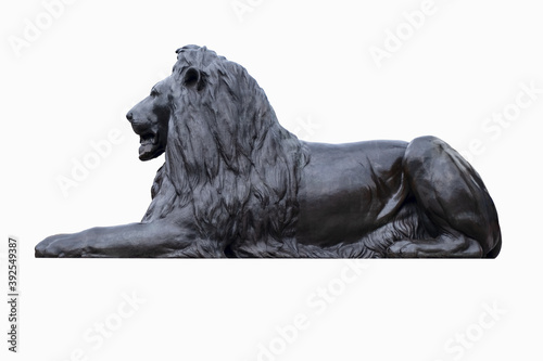 Photography Statue of a lion at Trafalgar Square in London isolated on white