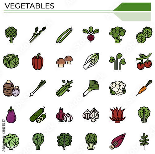 Vegetables filled outline icon set.