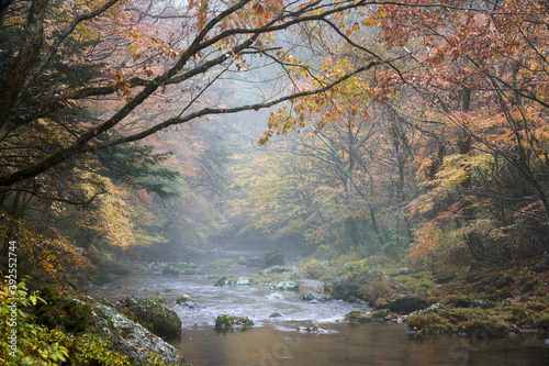 A river flows through the valley. Autumn landscape. Shot in Odamiyama, Ehime, Japan. Ishizuchi Quasi-National Park. photo
